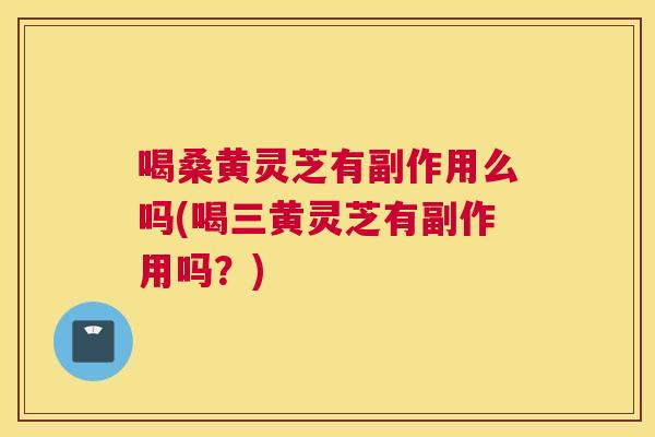 喝桑黄灵芝有副作用么吗(喝三黄灵芝有副作用吗?) 喝桑黄灵芝有副作用么吗(喝三黄灵芝有副作用吗?)