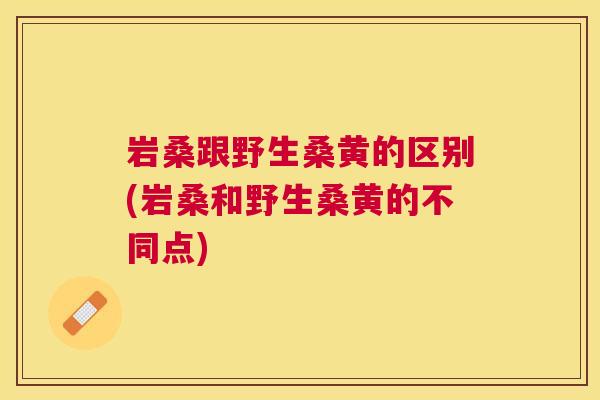 岩桑跟野生桑黄的区别(岩桑和野生桑黄的不同点)