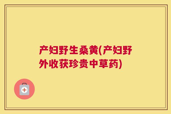 产妇野生桑黄(产妇野外收获珍贵中草药) 产妇野生桑黄(产妇野外收获珍贵中草药)