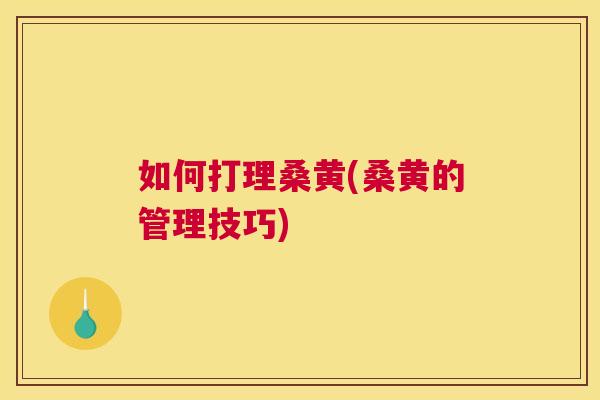 如何打理桑黄(桑黄的管理技巧) 如何打理桑黄(桑黄的管理技巧)