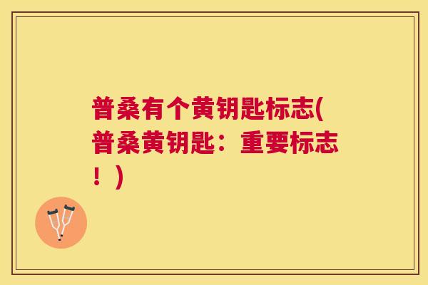 普桑有个黄钥匙标志(普桑黄钥匙：重要标志！)