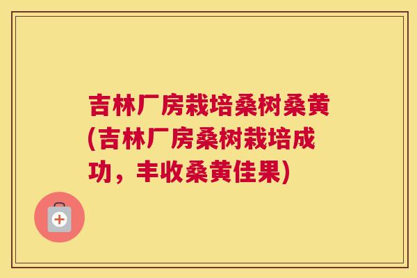 吉林厂房栽培桑树桑黄(吉林厂房桑树栽培成功,丰收桑黄佳果) 吉林厂房栽培桑树桑黄(吉林厂房桑树栽培成功,丰收桑黄佳果)