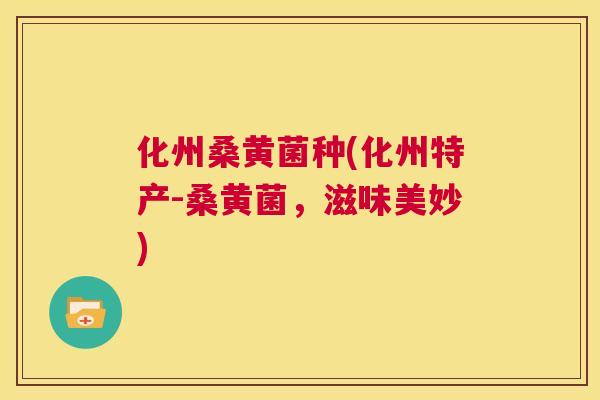 化州桑黄菌种(化州特产-桑黄菌,滋味美妙) 化州桑黄菌种(化州特产-桑黄菌,滋味美妙)
