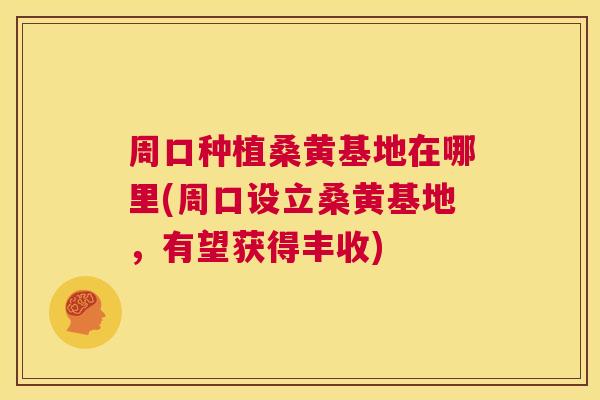 周口种植桑黄基地在哪里(周口设立桑黄基地，有望获得丰收)