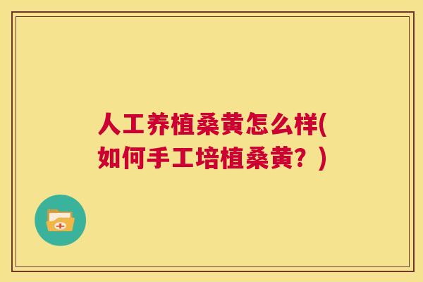 人工养植桑黄怎么样(如何手工培植桑黄?) 人工养植桑黄怎么样(如何手工培植桑黄?)