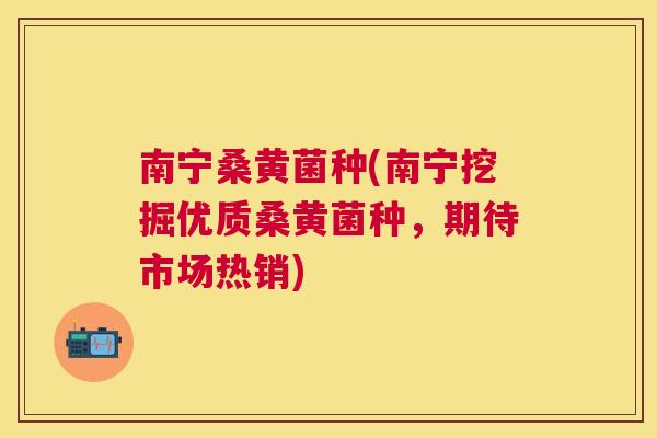 南宁桑黄菌种(南宁挖掘优质桑黄菌种,期待市场热销) 南宁桑黄菌种(南宁挖掘优质桑黄菌种,期待市场热销)