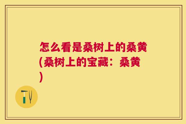 怎么看是桑树上的桑黄(桑树上的宝藏:桑黄) 怎么看是桑树上的桑黄(桑树上的宝藏:桑黄)