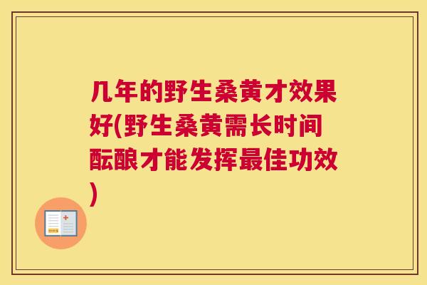 几年的野生桑黄才效果好(野生桑黄需长时间酝酿才能发挥佳功效)