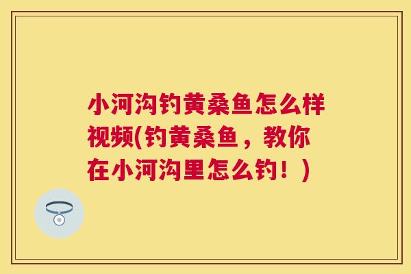 小河沟钓黄桑鱼怎么样视频(钓黄桑鱼,教你在小河沟里怎么钓!) 小河沟钓黄桑鱼怎么样视频(钓黄桑鱼,教你在小河沟里怎么钓!)