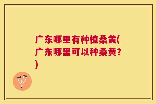 广东哪里有种植桑黄(广东哪里可以种桑黄?) 广东哪里有种植桑黄(广东哪里可以种桑黄?)