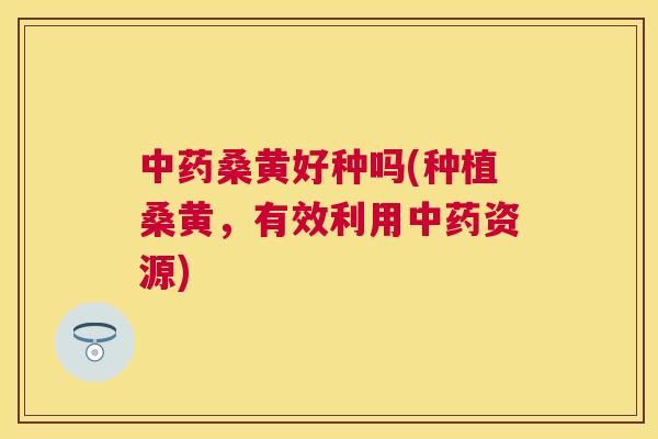 桑黄好种吗(种植桑黄,有效利用资源) 桑黄好种吗(种植桑黄,有效利用资源)