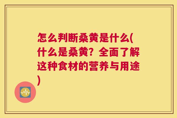 怎么判断桑黄是什么(什么是桑黄?全面了解这种食材的营养与用途) 怎么判断桑黄是什么(什么是桑黄?全面了解这种食材的营养与用途)