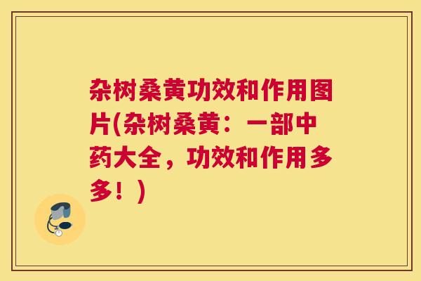 杂树桑黄功效和作用图片(杂树桑黄:一部大全,功效和作用多多!) 杂树桑黄功效和作用图片(杂树桑黄:一部大全,功效和作用多多!)