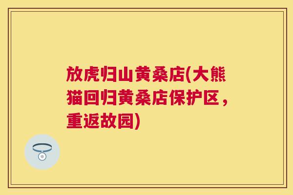 放虎归山黄桑店(大熊猫回归黄桑店保护区,重返故园) 放虎归山黄桑店(大熊猫回归黄桑店保护区,重返故园)