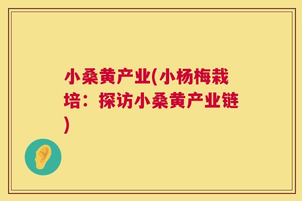 小桑黄产业(小杨梅栽培:探访小桑黄产业链) 小桑黄产业(小杨梅栽培:探访小桑黄产业链)