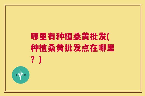 哪里有种植桑黄批发(种植桑黄批发点在哪里?) 哪里有种植桑黄批发(种植桑黄批发点在哪里?)
