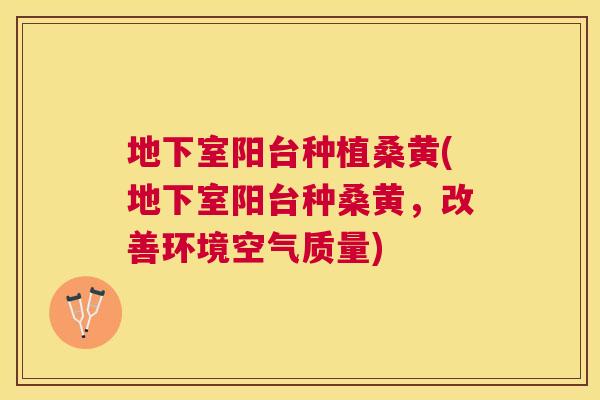 地下室阳台种植桑黄(地下室阳台种桑黄,改善环境空气质量) 地下室阳台种植桑黄(地下室阳台种桑黄,改善环境空气质量)
