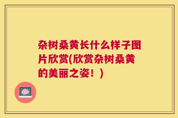 杂树桑黄长什么样子图片欣赏(欣赏杂树桑黄的美丽之姿!) 杂树桑黄长什么样子图片欣赏(欣赏杂树桑黄的美丽之姿!)