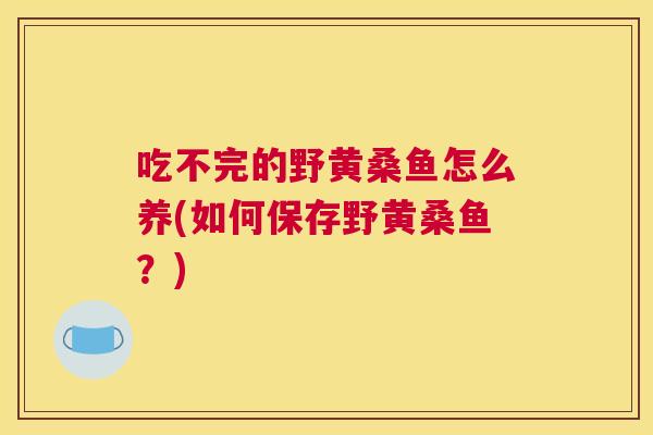 吃不完的野黄桑鱼怎么养(如何保存野黄桑鱼?) 吃不完的野黄桑鱼怎么养(如何保存野黄桑鱼?)