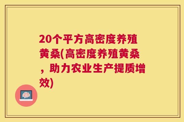 20个平方高密度养殖黄桑(高密度养殖黄桑，助力农业生产提质增效)
