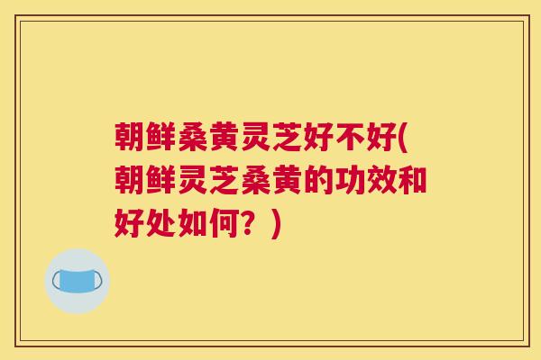 朝鲜桑黄灵芝好不好(朝鲜灵芝桑黄的功效和好处如何?) 朝鲜桑黄灵芝好不好(朝鲜灵芝桑黄的功效和好处如何?)