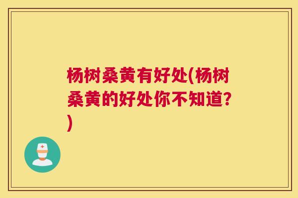 杨树桑黄有好处(杨树桑黄的好处你不知道?) 杨树桑黄有好处(杨树桑黄的好处你不知道?)