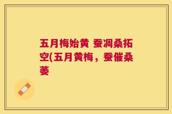 五月梅始黄 蚕凋桑拓空(五月黄梅,蚕催桑萎 五月梅始黄 蚕凋桑拓空(五月黄梅,蚕催桑萎