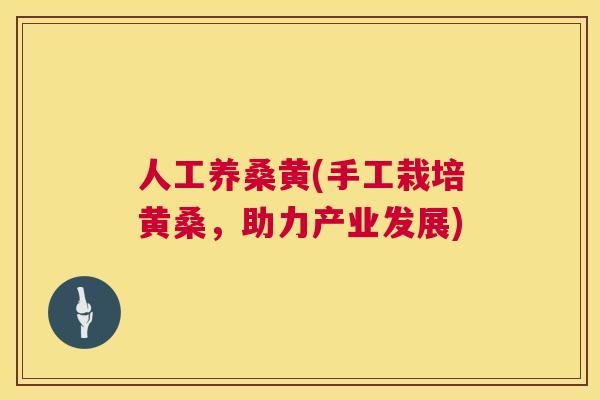 人工养桑黄(手工栽培黄桑,助力产业发展) 人工养桑黄(手工栽培黄桑,助力产业发展)