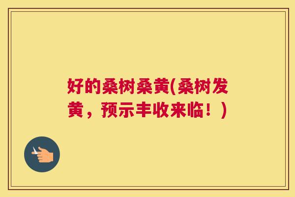 好的桑树桑黄(桑树发黄,预示丰收来临!) 好的桑树桑黄(桑树发黄,预示丰收来临!)