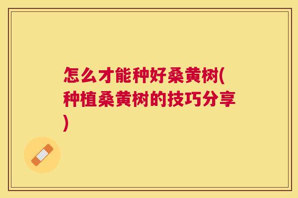 怎么才能种好桑黄树(种植桑黄树的技巧分享) 怎么才能种好桑黄树(种植桑黄树的技巧分享)