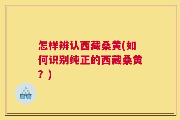 怎样辨认西藏桑黄(如何识别纯正的西藏桑黄?) 怎样辨认西藏桑黄(如何识别纯正的西藏桑黄?)