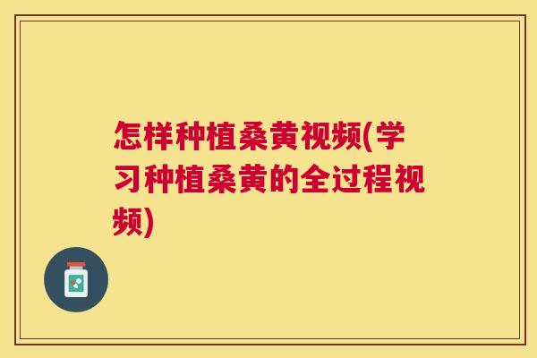 怎样种植桑黄视频(学习种植桑黄的全过程视频) 怎样种植桑黄视频(学习种植桑黄的全过程视频)