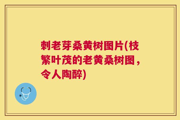 刺老芽桑黄树图片(枝繁叶茂的老黄桑树图，令人陶醉)