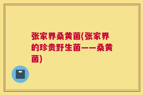 张家界桑黄菌(张家界的珍贵野生菌——桑黄菌) 张家界桑黄菌(张家界的珍贵野生菌——桑黄菌)