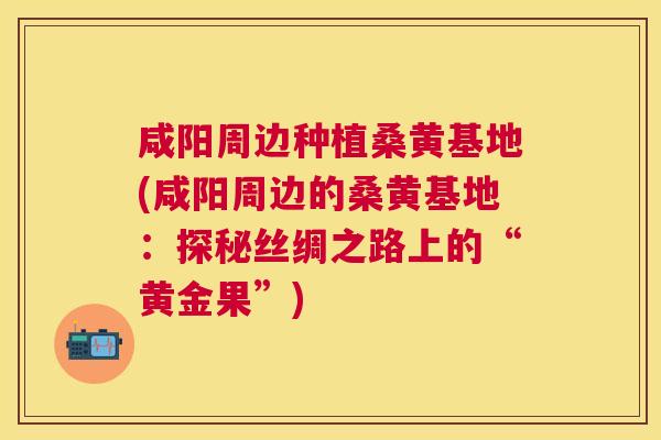 咸阳周边种植桑黄基地(咸阳周边的桑黄基地：探秘丝绸之路上的“黄金果”)