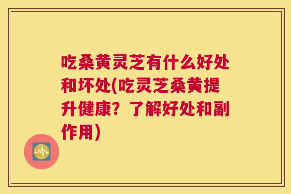 吃桑黄灵芝有什么好处和坏处(吃灵芝桑黄提升健康?了解好处和副作用) 吃桑黄灵芝有什么好处和坏处(吃灵芝桑黄提升健康?了解好处和副作用)