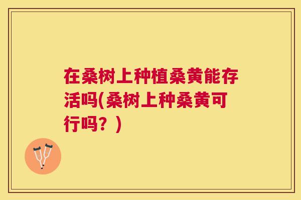 在桑树上种植桑黄能存活吗(桑树上种桑黄可行吗?) 在桑树上种植桑黄能存活吗(桑树上种桑黄可行吗?)
