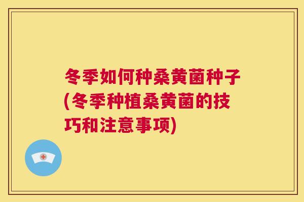 冬季如何种桑黄菌种子(冬季种植桑黄菌的技巧和注意事项) 冬季如何种桑黄菌种子(冬季种植桑黄菌的技巧和注意事项)