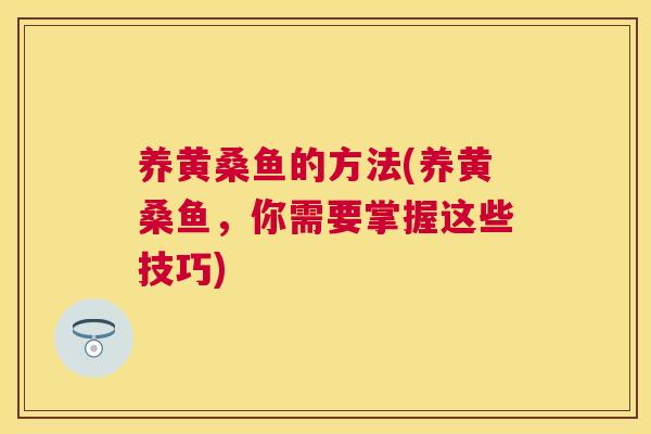 养黄桑鱼的方法(养黄桑鱼,你需要掌握这些技巧) 养黄桑鱼的方法(养黄桑鱼,你需要掌握这些技巧)