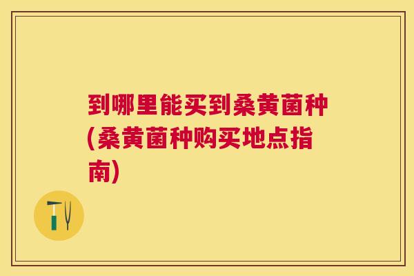 到哪里能买到桑黄菌种(桑黄菌种购买地点指南) 到哪里能买到桑黄菌种(桑黄菌种购买地点指南)