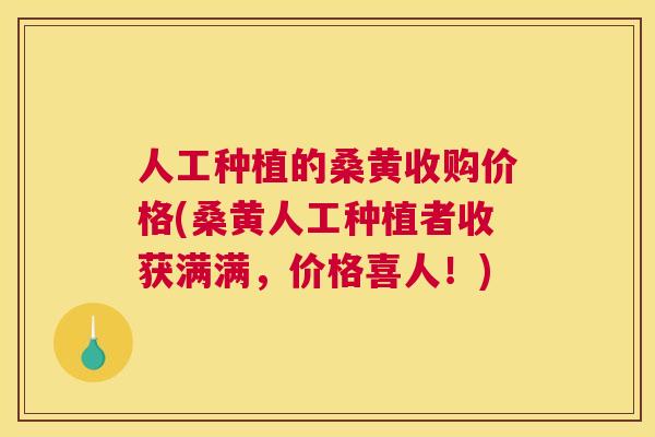 人工种植的桑黄收购价格(桑黄人工种植者收获满满,价格喜人!) 人工种植的桑黄收购价格(桑黄人工种植者收获满满,价格喜人!)