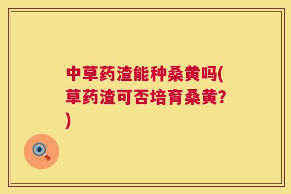 中草药渣能种桑黄吗(草药渣可否培育桑黄?) 中草药渣能种桑黄吗(草药渣可否培育桑黄?)