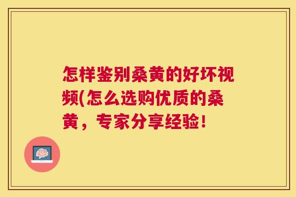怎样鉴别桑黄的好坏视频(怎么选购优质的桑黄,专家分享经验! 怎样鉴别桑黄的好坏视频(怎么选购优质的桑黄,专家分享经验!
