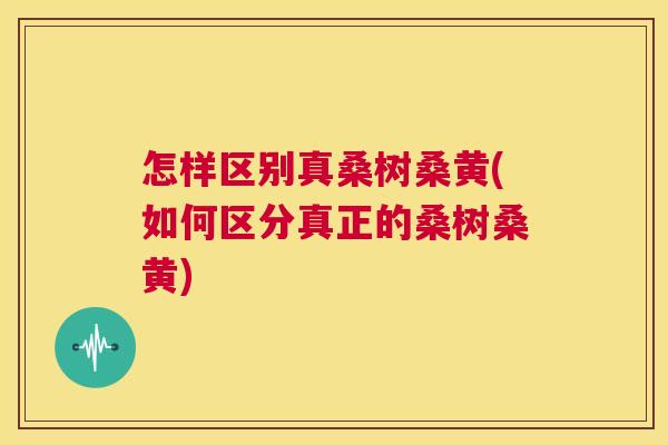 怎样区别真桑树桑黄(如何区分真正的桑树桑黄) 怎样区别真桑树桑黄(如何区分真正的桑树桑黄)