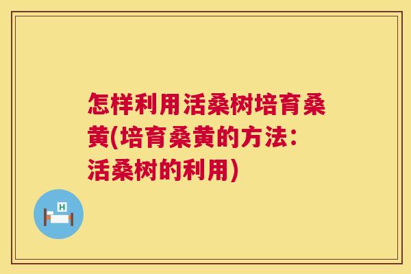 怎样利用活桑树培育桑黄(培育桑黄的方法:活桑树的利用) 怎样利用活桑树培育桑黄(培育桑黄的方法:活桑树的利用)