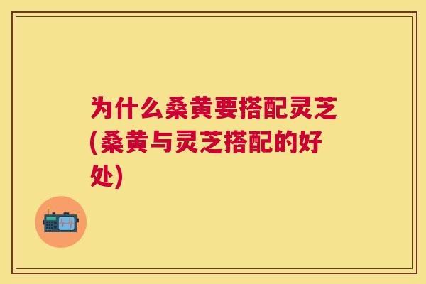 为什么桑黄要搭配灵芝(桑黄与灵芝搭配的好处) 为什么桑黄要搭配灵芝(桑黄与灵芝搭配的好处)