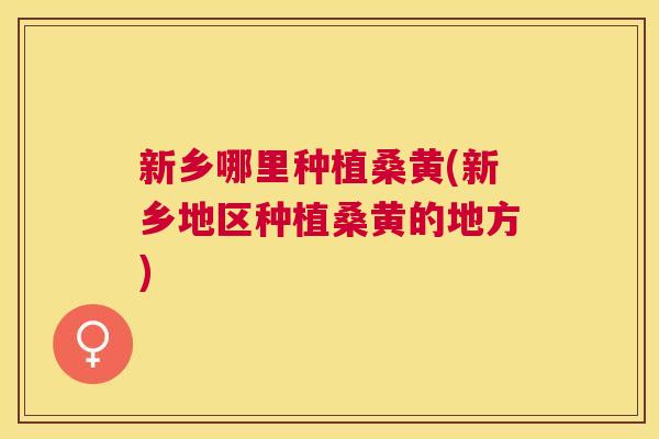 新乡哪里种植桑黄(新乡地区种植桑黄的地方) 新乡哪里种植桑黄(新乡地区种植桑黄的地方)