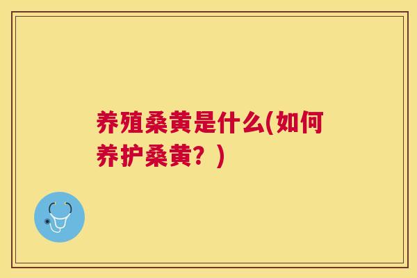 养殖桑黄是什么(如何养护桑黄?) 养殖桑黄是什么(如何养护桑黄?)