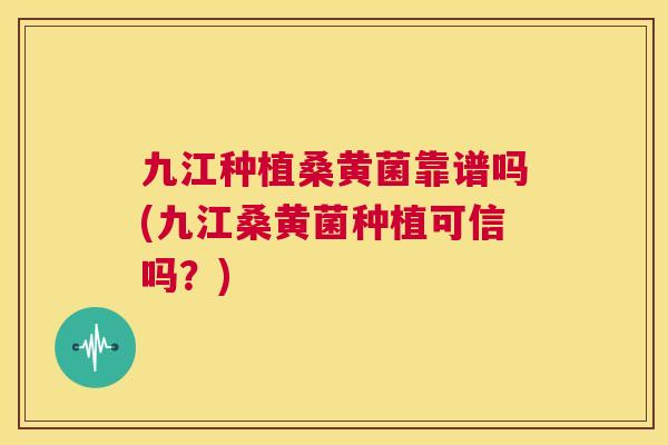 九江种植桑黄菌靠谱吗(九江桑黄菌种植可信吗?) 九江种植桑黄菌靠谱吗(九江桑黄菌种植可信吗?)