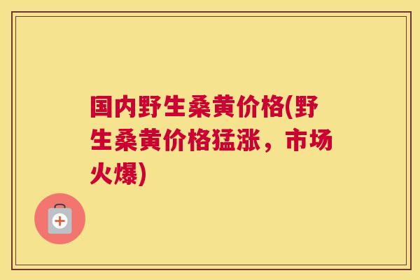 国内野生桑黄价格(野生桑黄价格猛涨,市场火爆) 国内野生桑黄价格(野生桑黄价格猛涨,市场火爆)